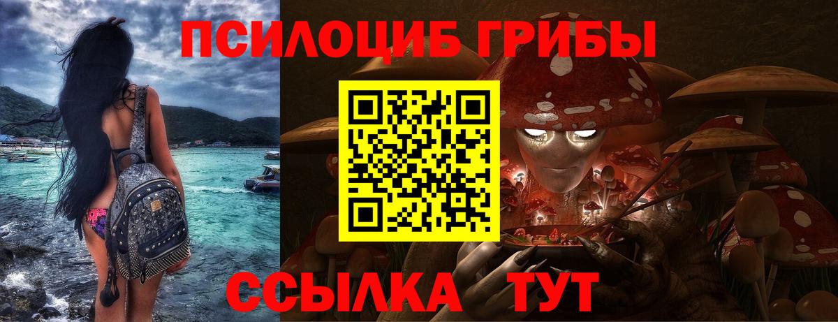 Псилоцибиновые грибы ЛСД  Вход с VPN  Кингисепп  Галлюциногенные грибы GOLDEN TEACHER 